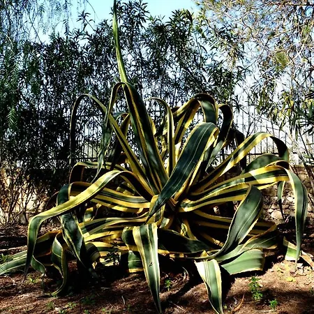 Nocleg ze śniadaniem Caranna Torre Lapillo