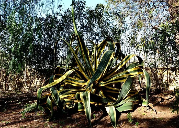 Nocleg ze śniadaniem Caranna Torre Lapillo